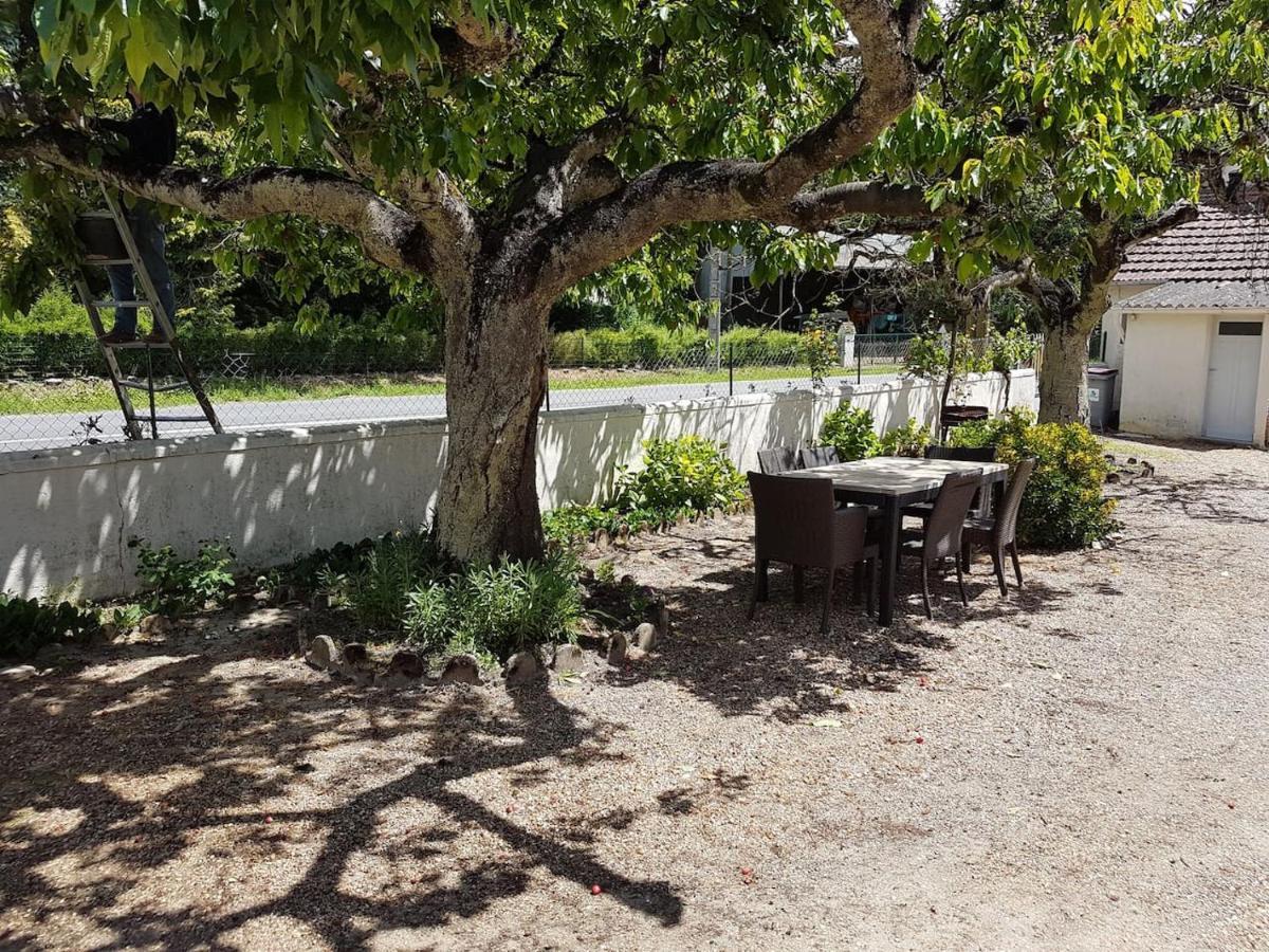 Gîte Caves de Beauval  Saint-Aignan  Esterno foto
