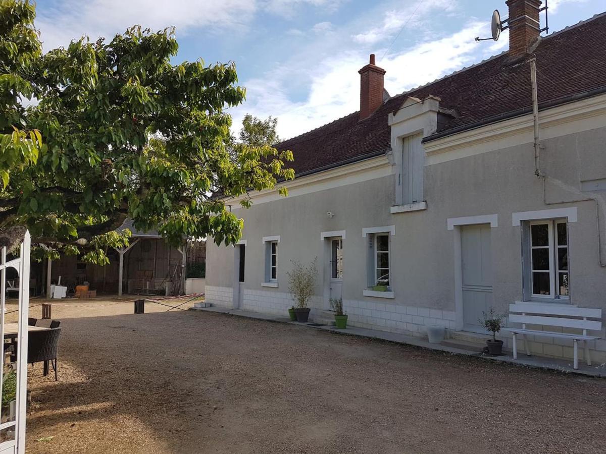 Gîte Caves de Beauval  Saint-Aignan  Esterno foto